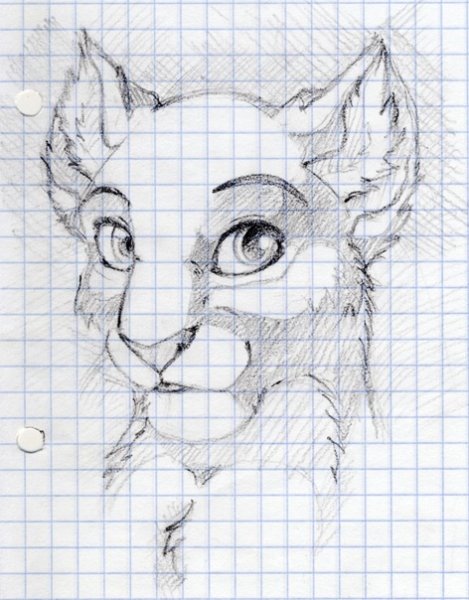 Необычные рисунки карандашом