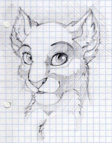 Lesley Harrison картины