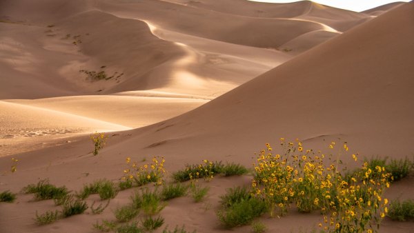 Картинки пустыня (42 фото)