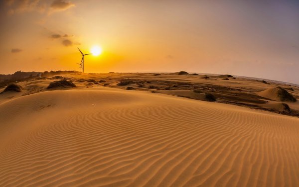Биом Desert