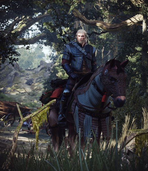 Witcher 3-Wild Hunt арт Дикая охота