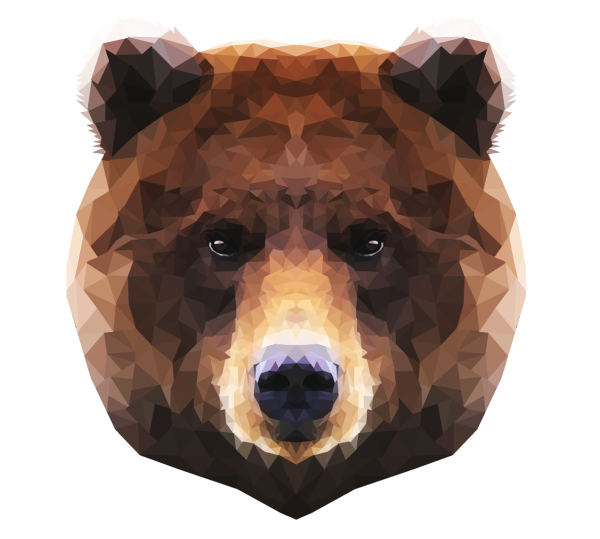 Бурый медведь (Ursus arctos)