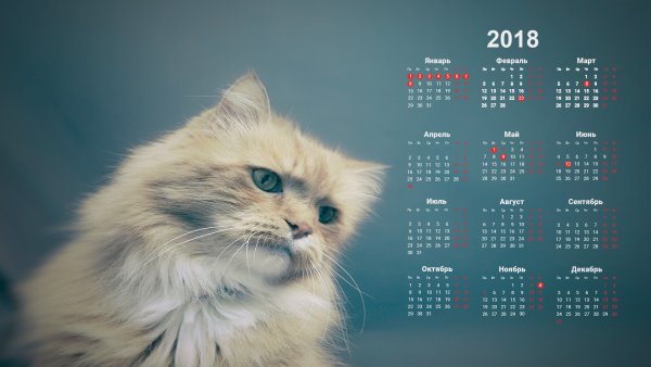 Календарь на рабочий стол