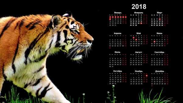 Календарь на рабочий стол