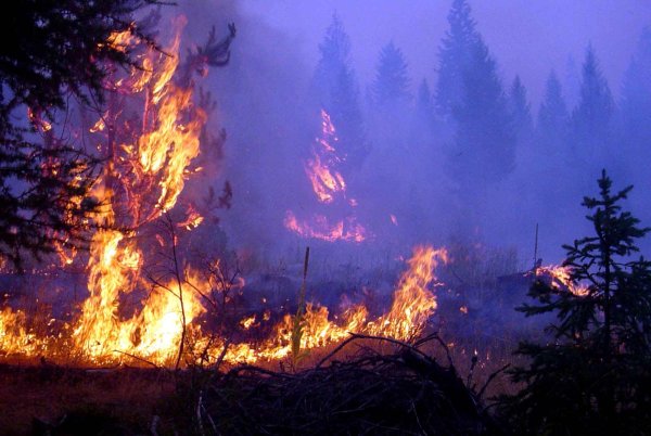 Пожар красивые картинки