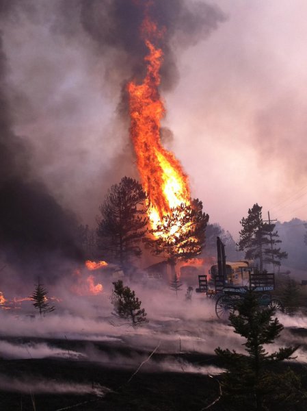 Природные пожары