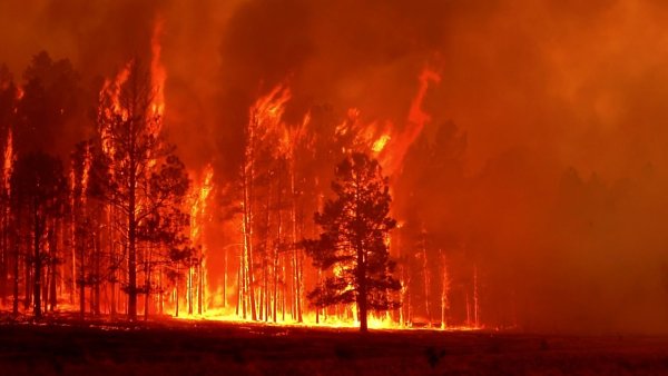 Красивый пожар