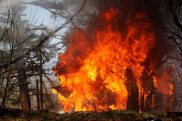 Красивый пожар