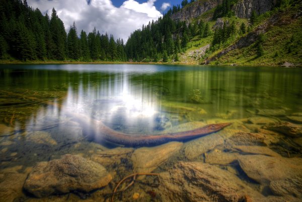 Чистая природа