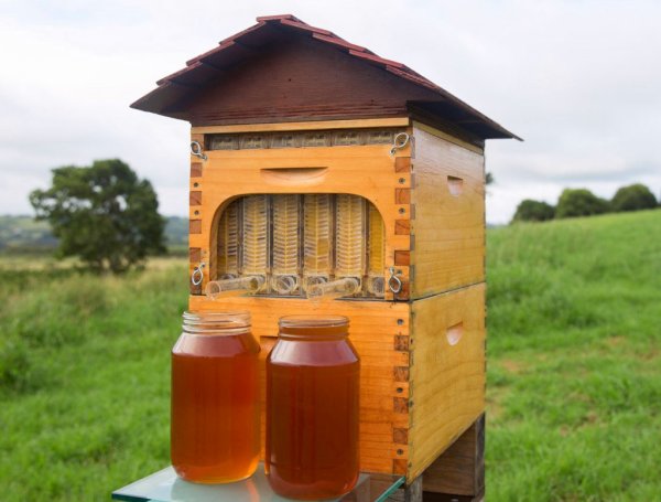Улей Flow Hive