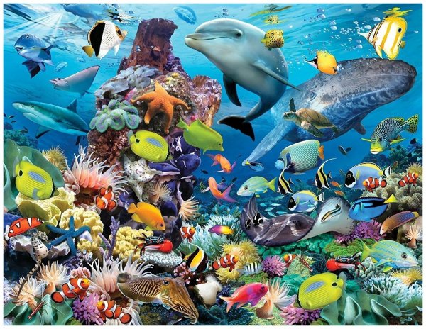 Море и морские обитатели