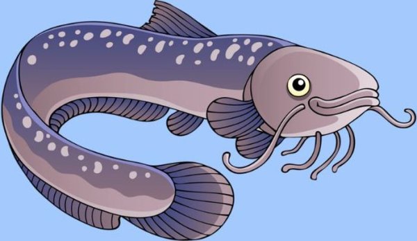 Рыба сом для детей