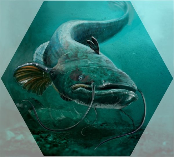 Картины с рыбой сом