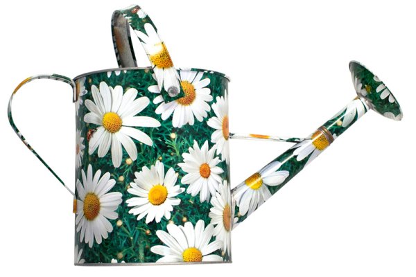 Лейка Центроинструмент