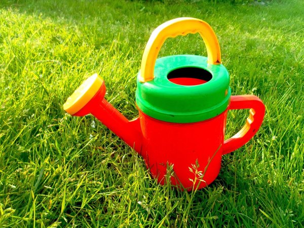 Лейка Сказочная