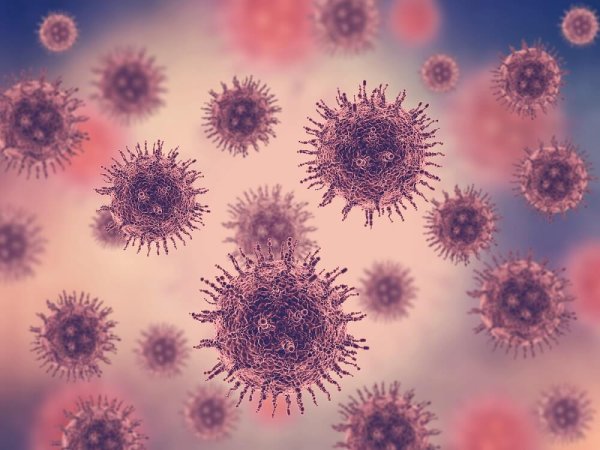 Coronavirus вирус