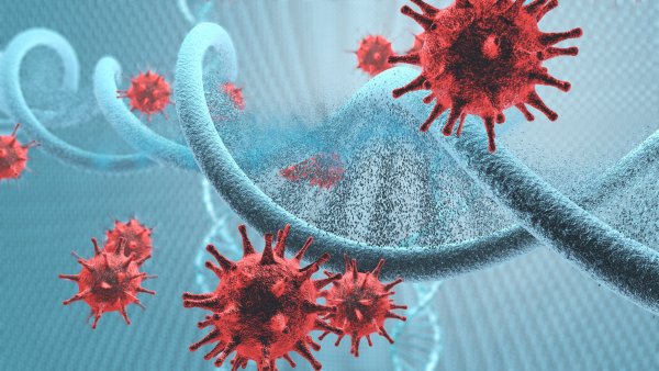 Coronavirus DNA infection