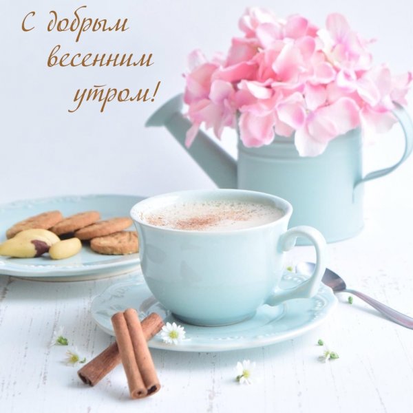 Нежное утро