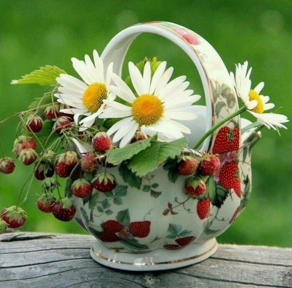 С добрым летним утром