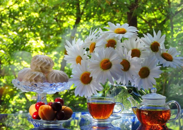 Чаепитие на природе