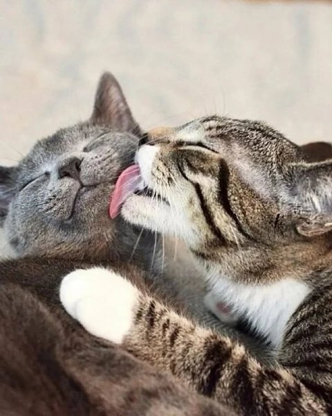 Обнимашки картинки красивые