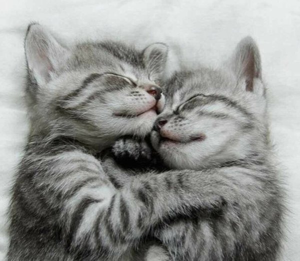 Парень обнимает девушку