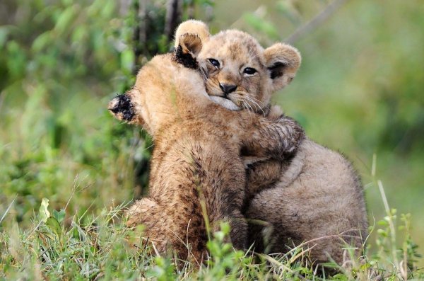 Счастливые мужчина и женщина