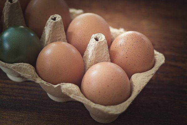Яйцо пищевой продукт