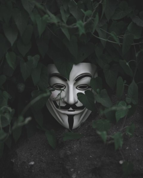 Гай Фокс портрет
