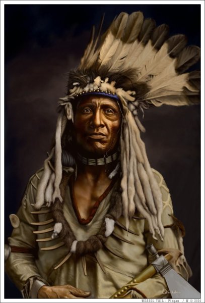 Michael Schreck Art индейцы