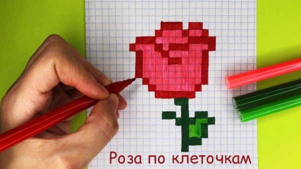 Пикселька рисунки по клеточкам к роза