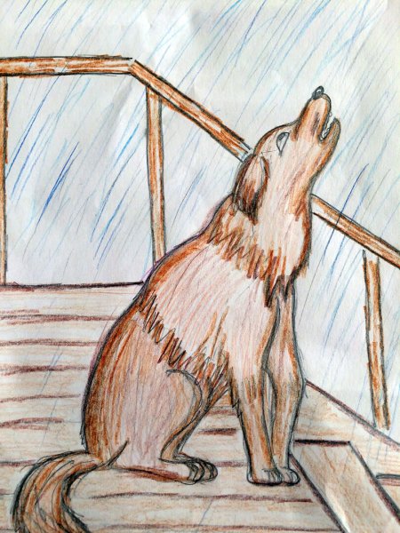 Л. Андреев "кусака"