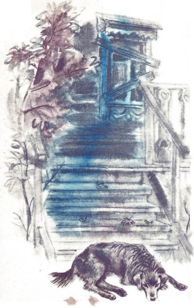 Андреева кусака