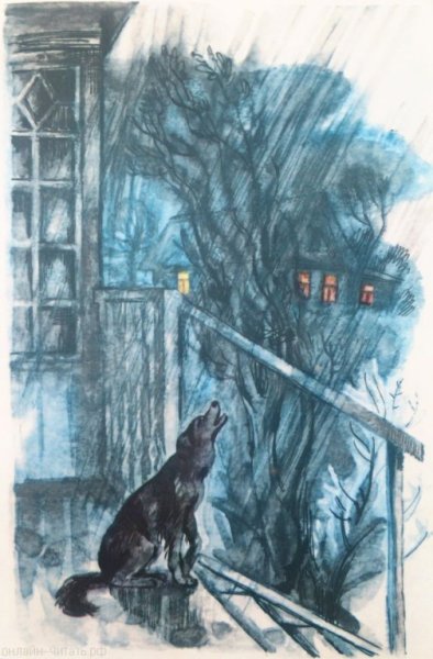 Кусака рисунок карандашом