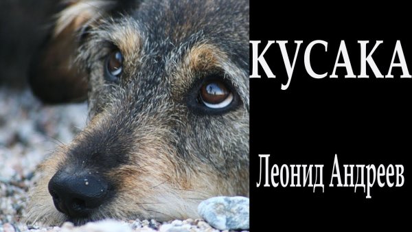 Кусака рисунок карандашом