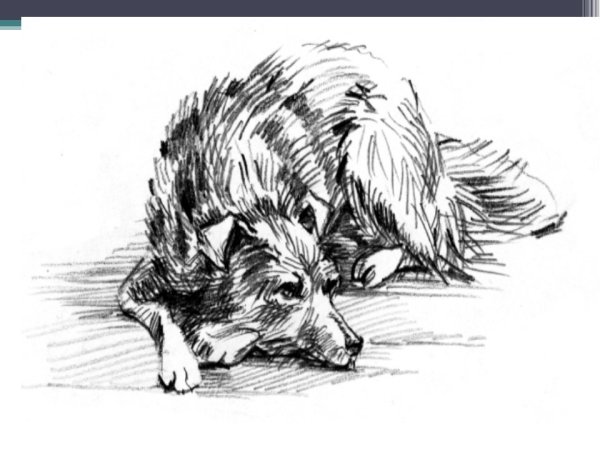 Андреев кусака раскраска