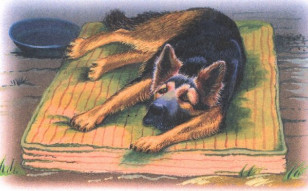 Кусака рисунок детский