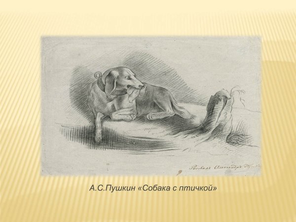 Кусака Леонида Андреева