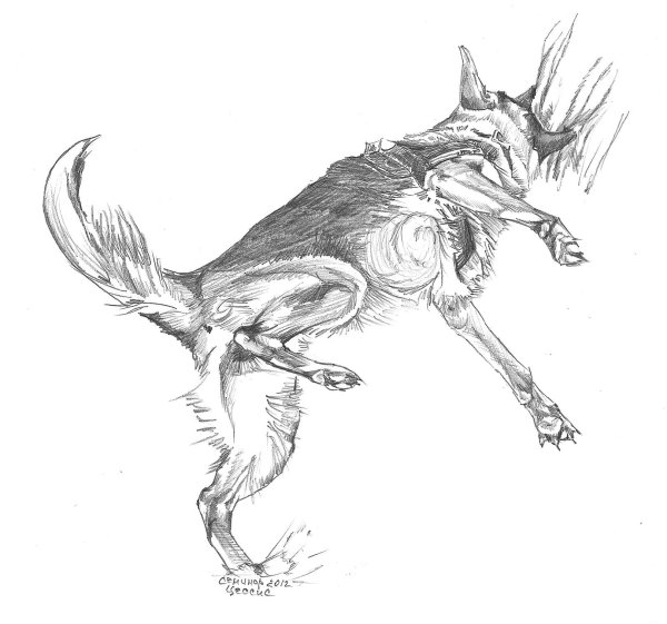 Леонид Николаевич Андреев кусака