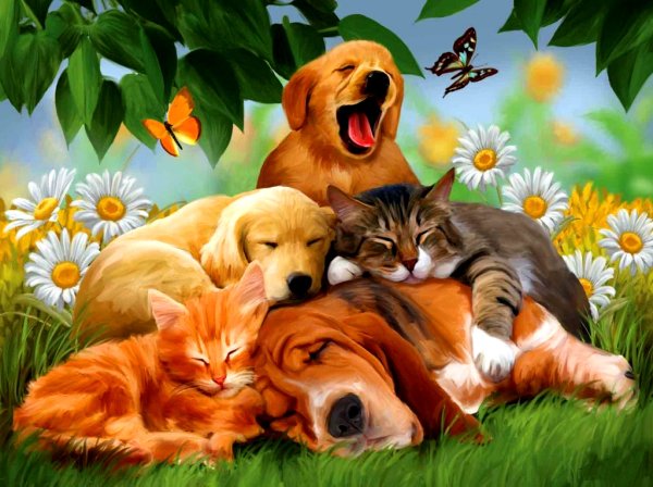 Милые котята и щенки