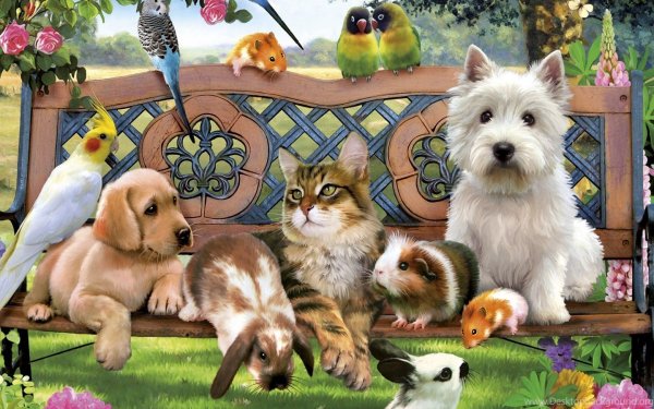 Красивые собаки