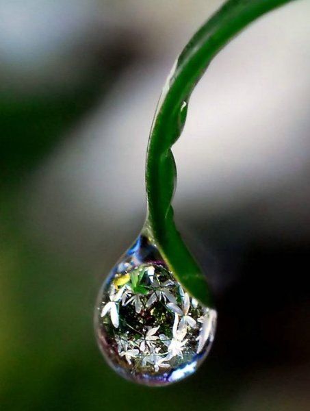 Капля воды