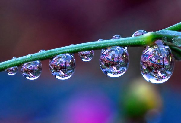 Капля воды