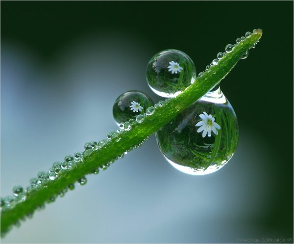 Красивые капли воды