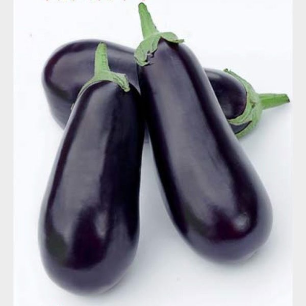 Фиолетовый баклажан