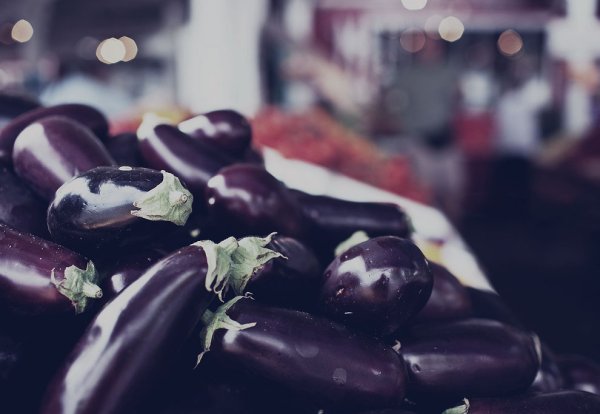 Баклажаны длинные и тонкие сорта