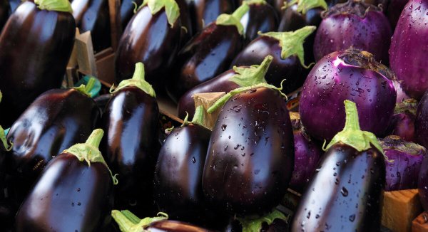 Баклажан Клаудио