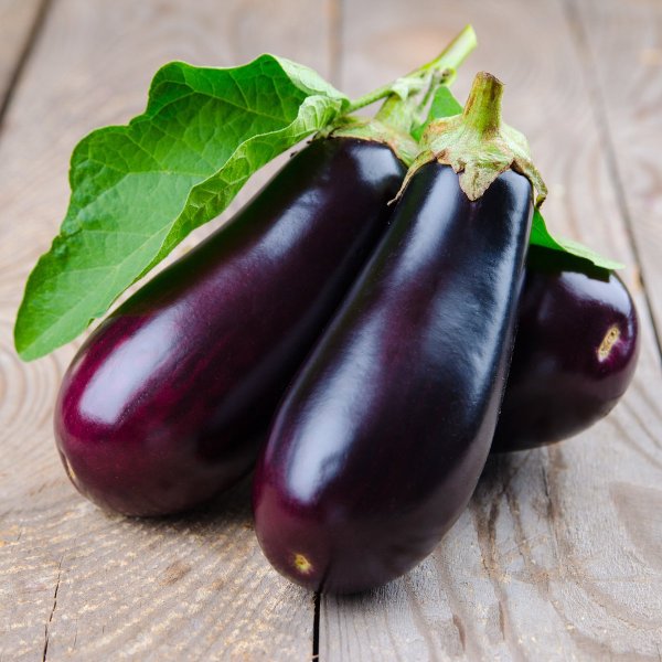 Баклажан икорный f1