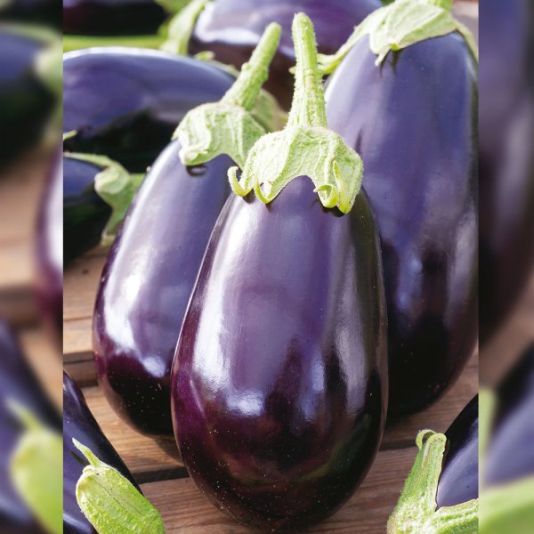 Фиолетовый баклажан