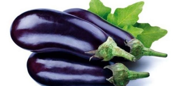 Выборжец баклажаны